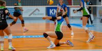 2. Volleyball-Bundesliga PRO SSC Freisen - Skurios Volleys Borken